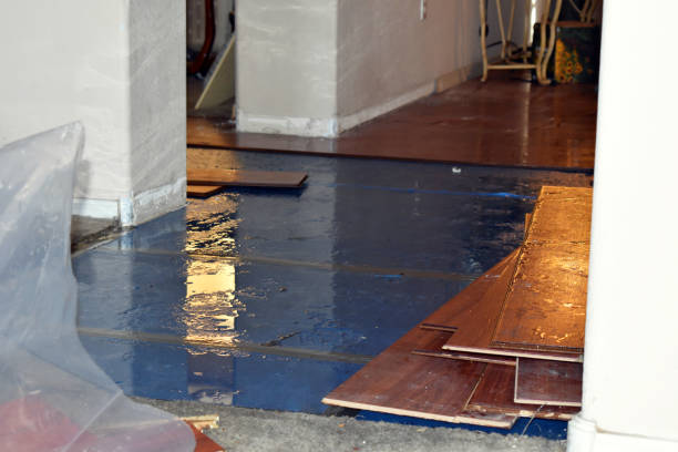 Professional Water Damage Restoration technician working in Algonquin, MD